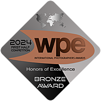 WPE 2024 Bronze Award