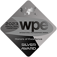 WPE 2023 Silver Award